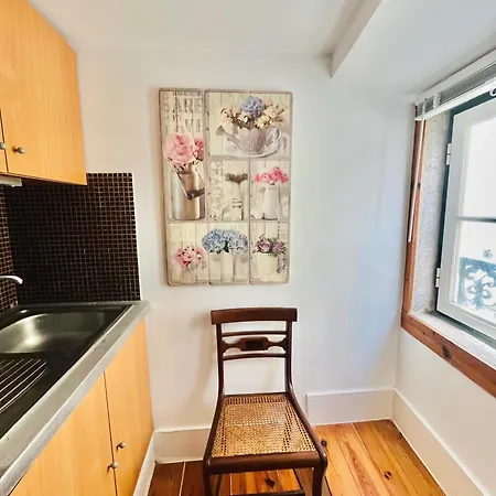 Spacious Quiet 536mbps Internet Lisbon